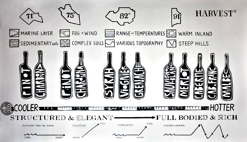 A graphic showing how temperature, soil type, and topigraphical variations affect wine varietals in the region